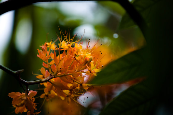 USA, Florida, Fisher Island,