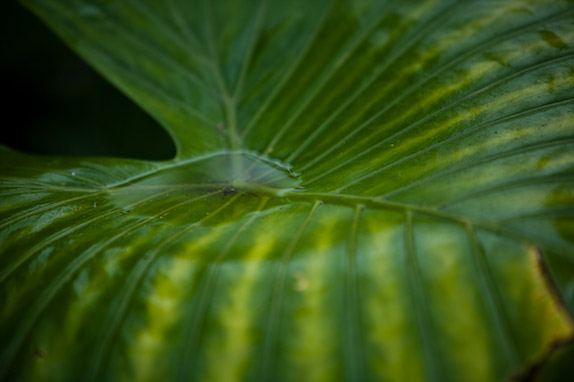 USA, Florida, Fisher Island,