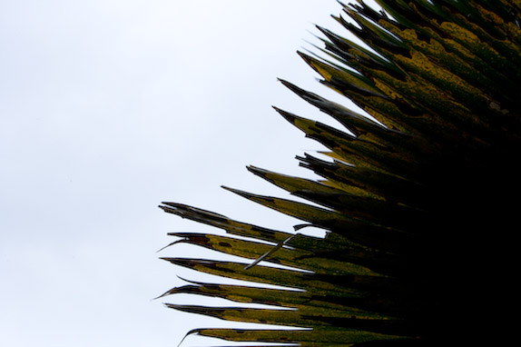 USA, Florida, Fisher Island,