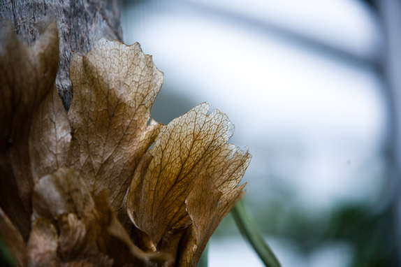 USA, Florida, Fisher Island,