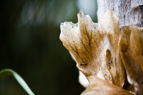 USA, Florida, Fisher Island,