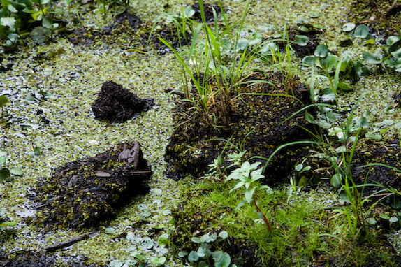 USA, Florida, Fisher Island,