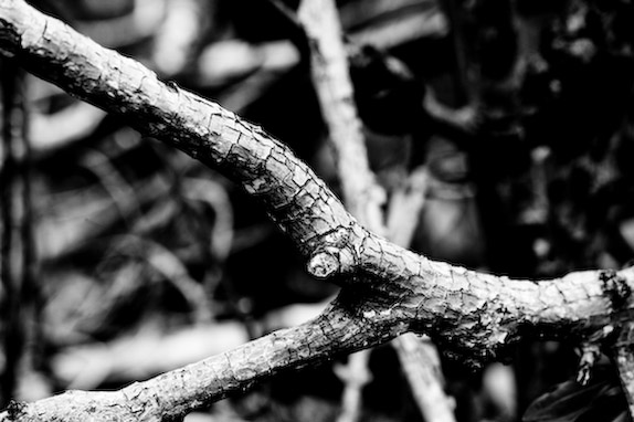 USA, Florida, Fisher Island,